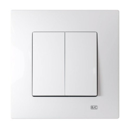 Pack BJC Viva doble interruptor en marco de 1 completo Blanco Polar-imagen-1